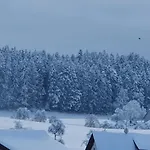 Schweizer's Appartement Achberg