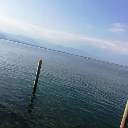 Schweizer's Apartman Achberg