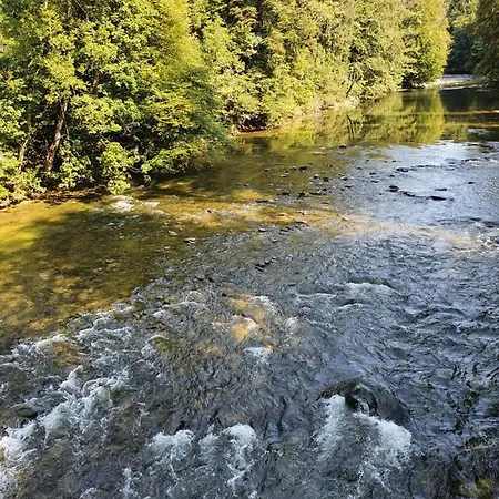 Schweizer's Apartman Achberg