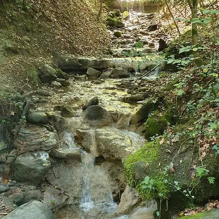 Schweizer's * Achberg