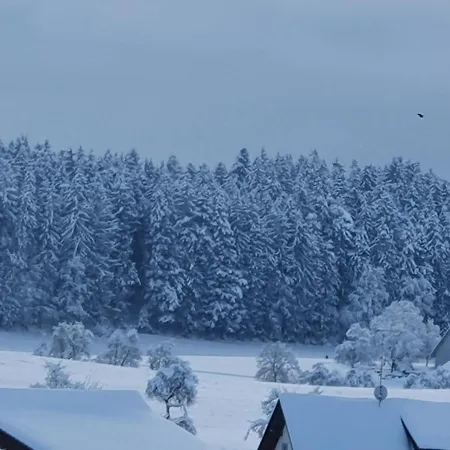 Schweizer's Apartman Achberg