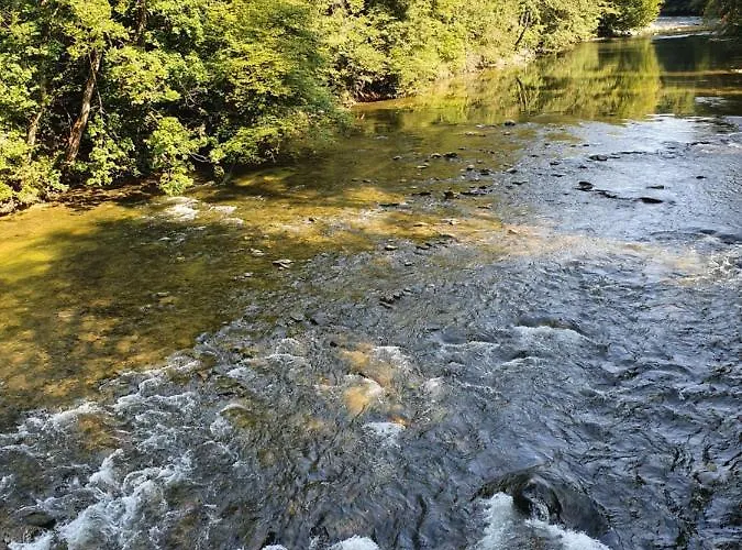 Schweizer´s Apartment Achberg