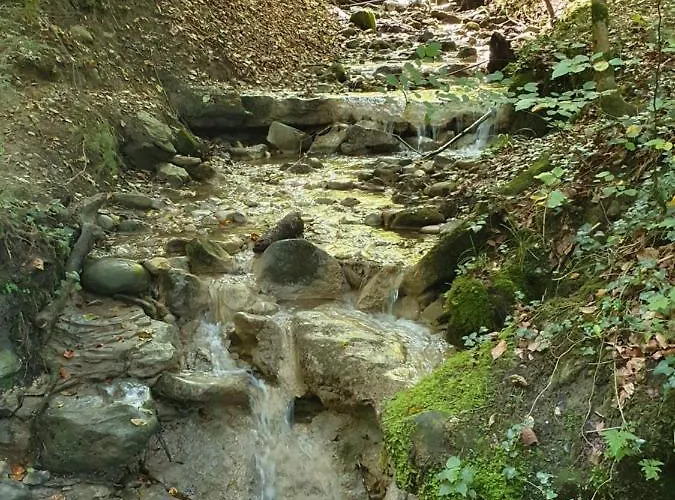 Schweizer´s * Achberg