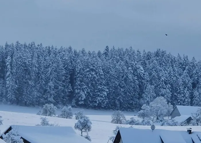 Schweizer's דירה אכברג