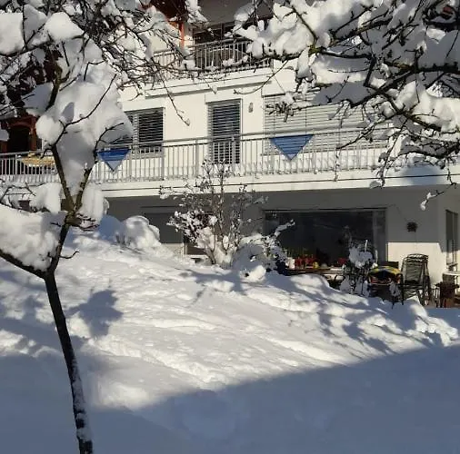 Schweizer´s Apartment *