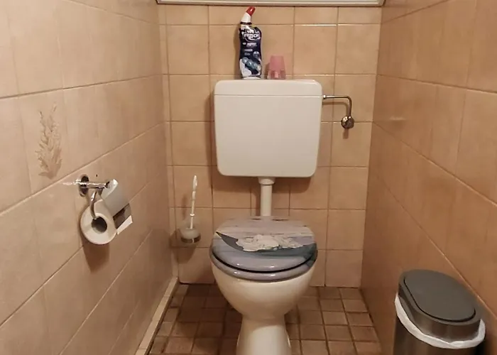 Schweizer´s Apartment Achberg